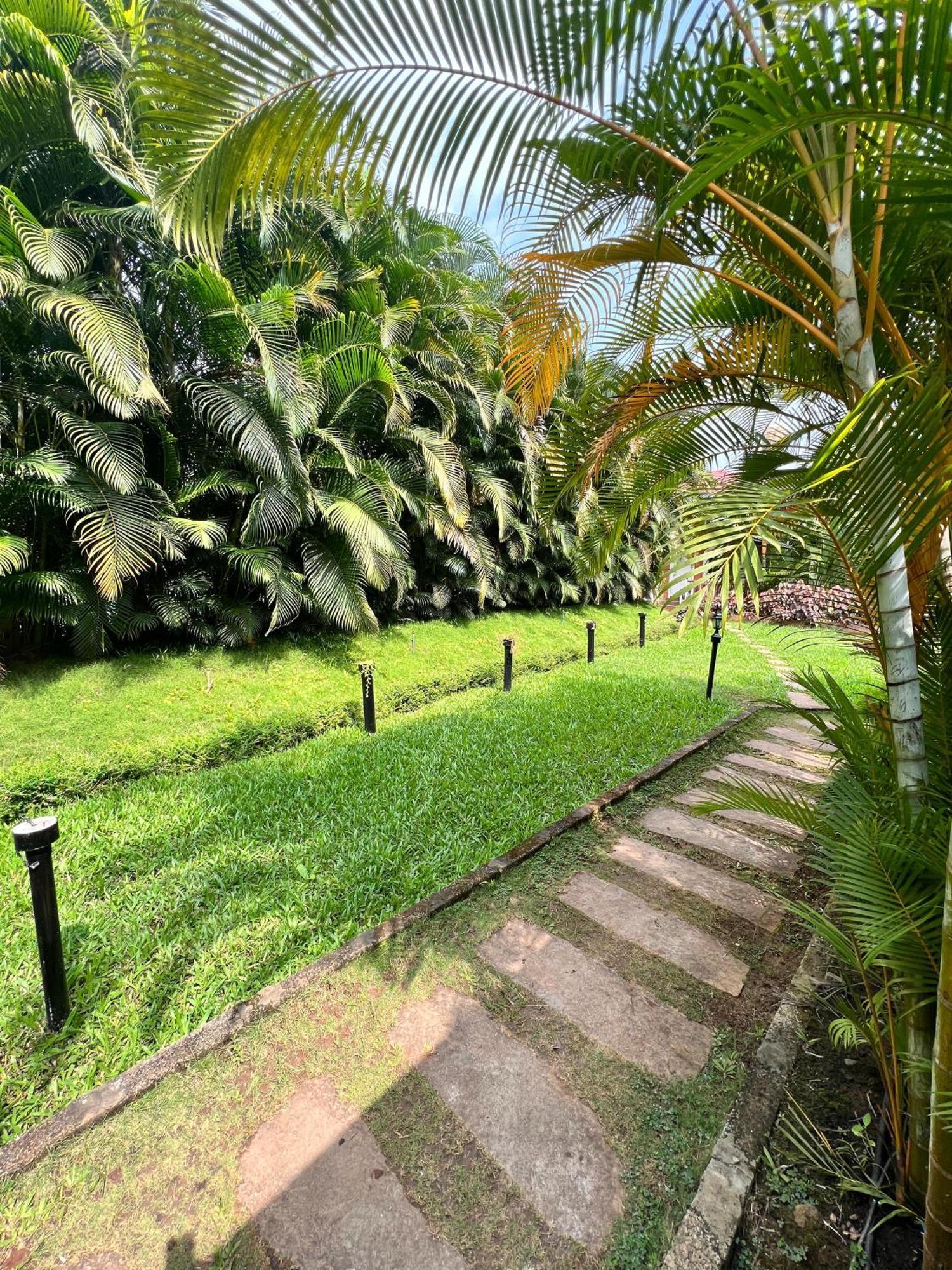 Coorg Nesara Hotel And Resort Kushālnagar Exteriör bild
